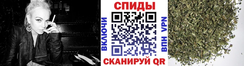 Купить где Суджа Бутират BDO